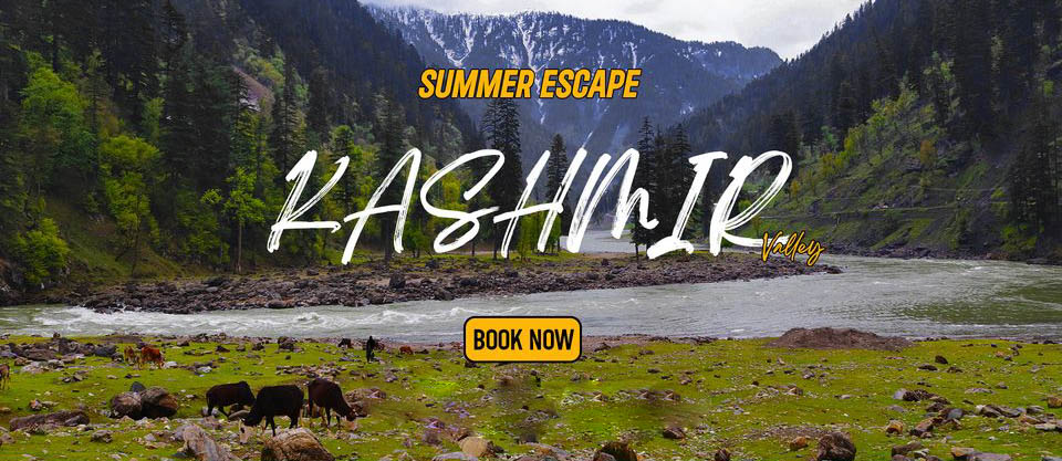 Summer Escape | Neelum Valley & beyond